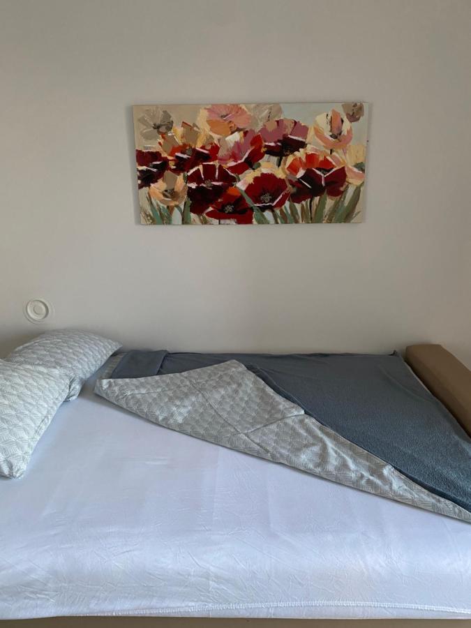 Apartman Colapis- Self Check In, Free Parking, Premium Location! Karlovac Exteriör bild