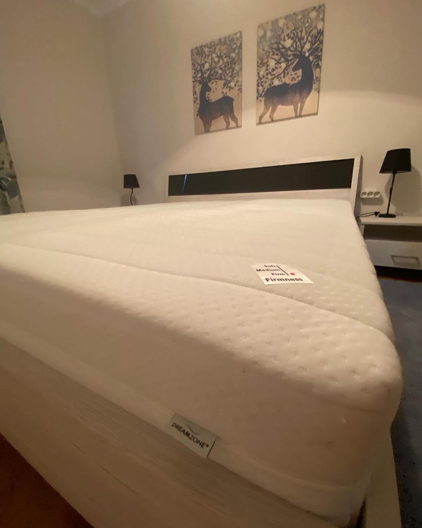 Apartman Colapis- Self Check In, Free Parking, Premium Location! Karlovac Exteriör bild